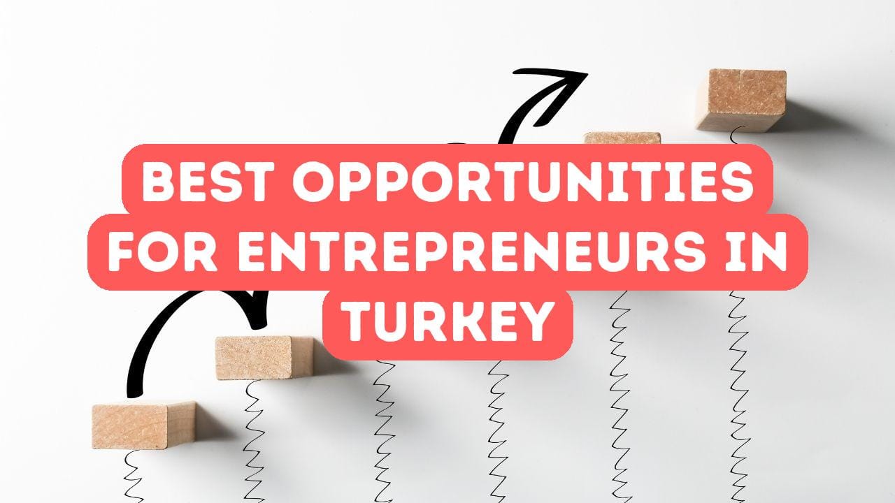 Die besten Geschäftsmöglichkeiten für Expats in der Türkei