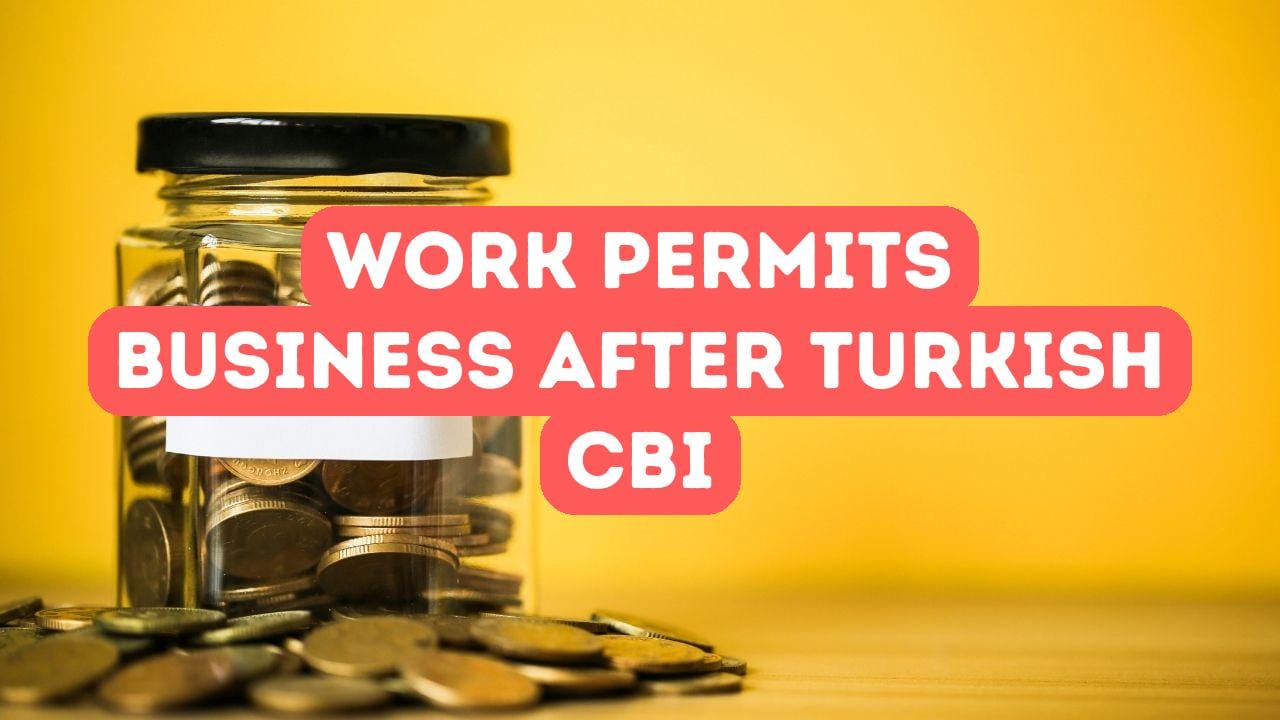 Work Permits and Business After Turkish Citizenship by Investment