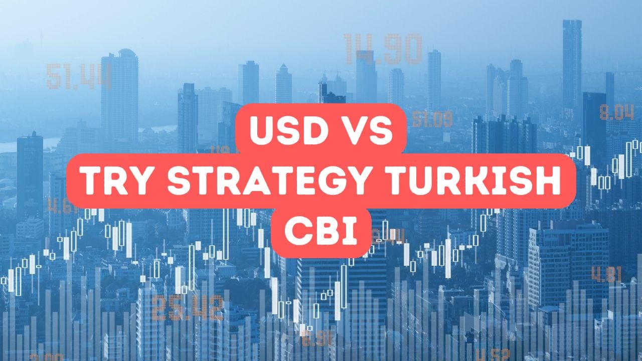 USD vs TRY Strategy in Turkish Citizenship by Investment